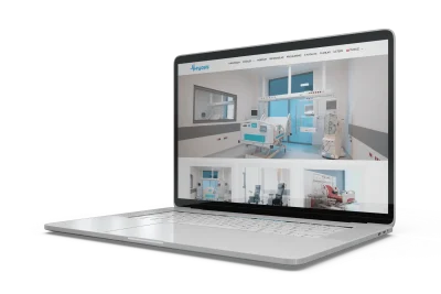 Web site tasarım referans meyosis