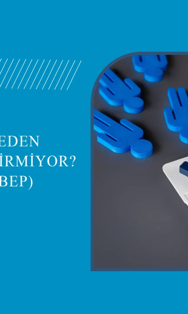 web sitesi tasarımı hakkında